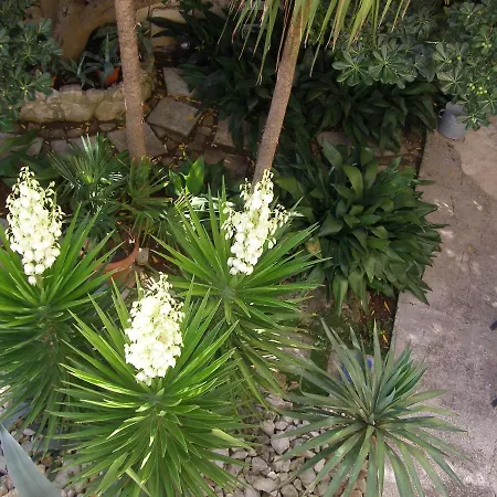 By The Sea - 13498 公寓 *